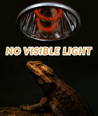 AUAAQ Deep Heat Projector in action warms reptile muscles naturally.