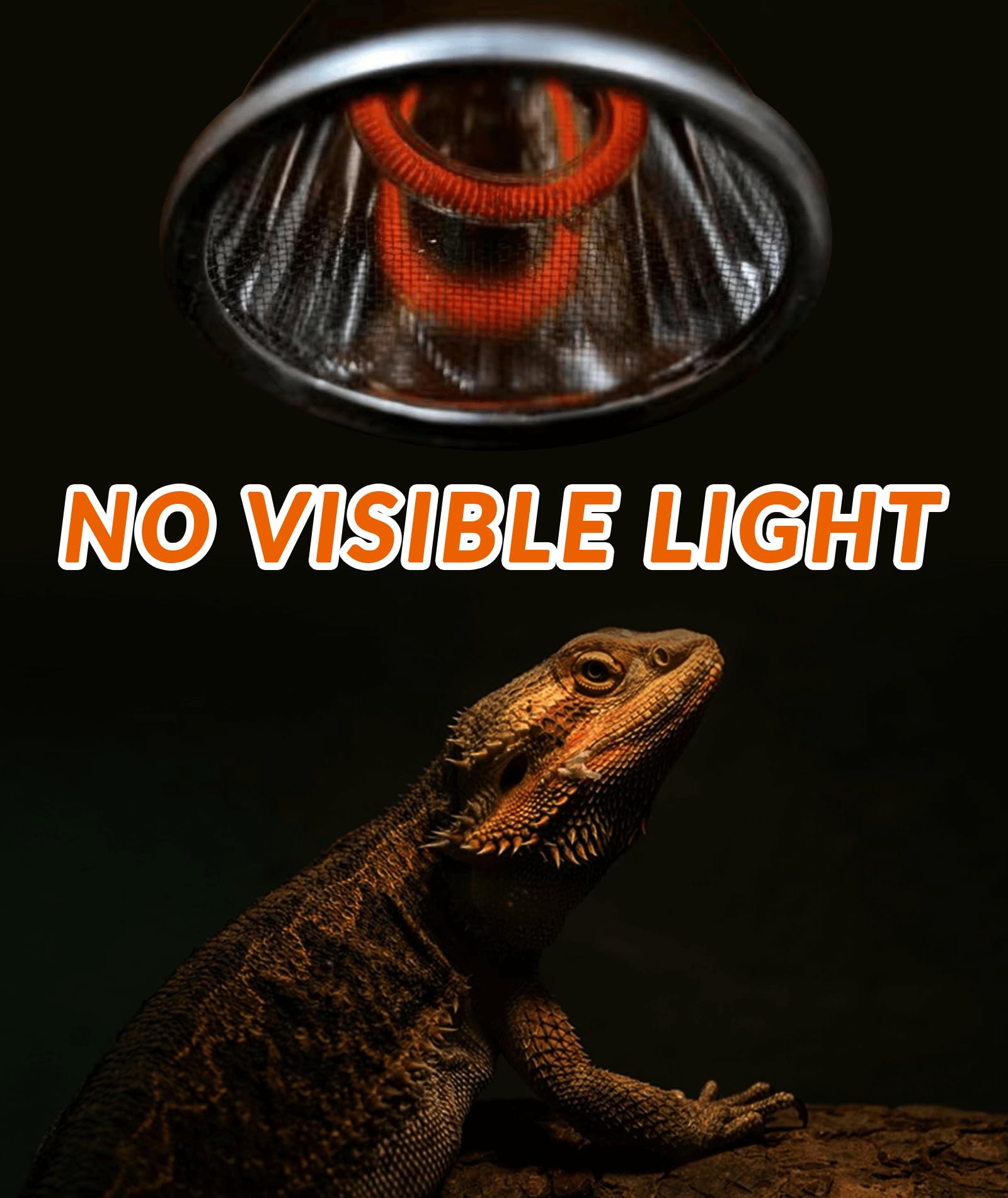 AUAAQ no visible light design supports day/night cycle for reptiles.