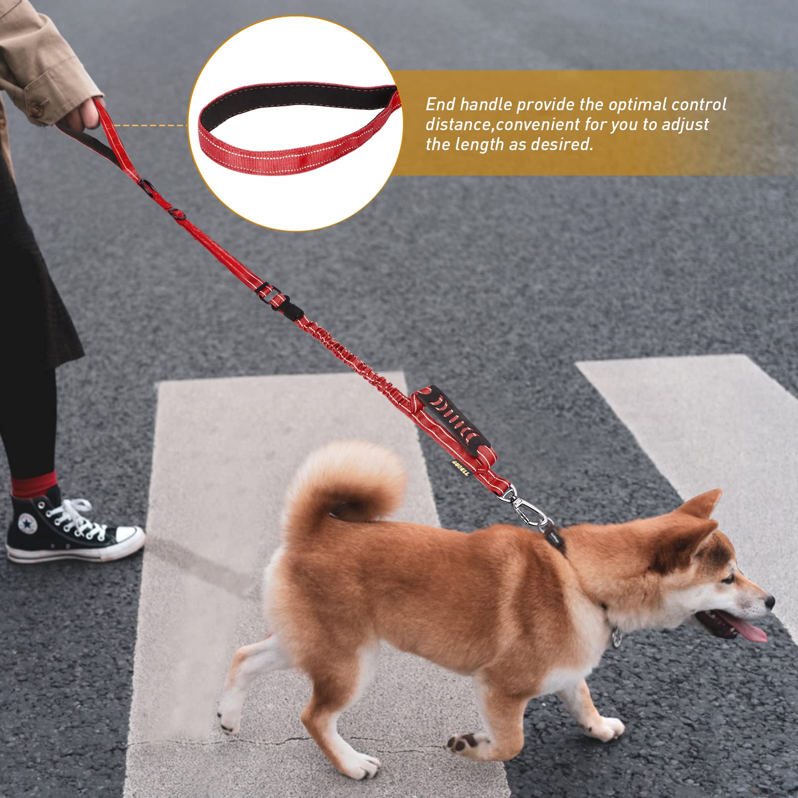 AUBELL versatile leash suits medium to large dogs with strong pulling tendencies.