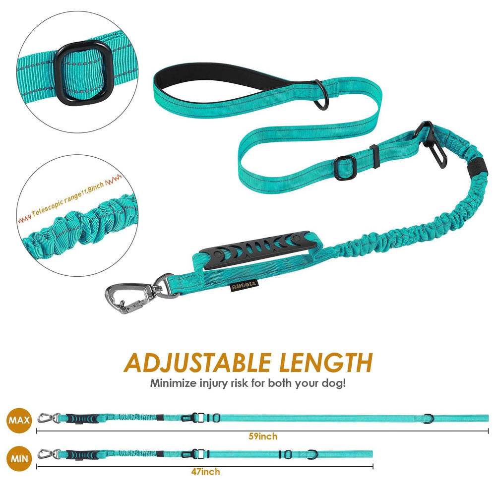 AUBELL teal-color leash adds a stylish safety touch for evening outings.