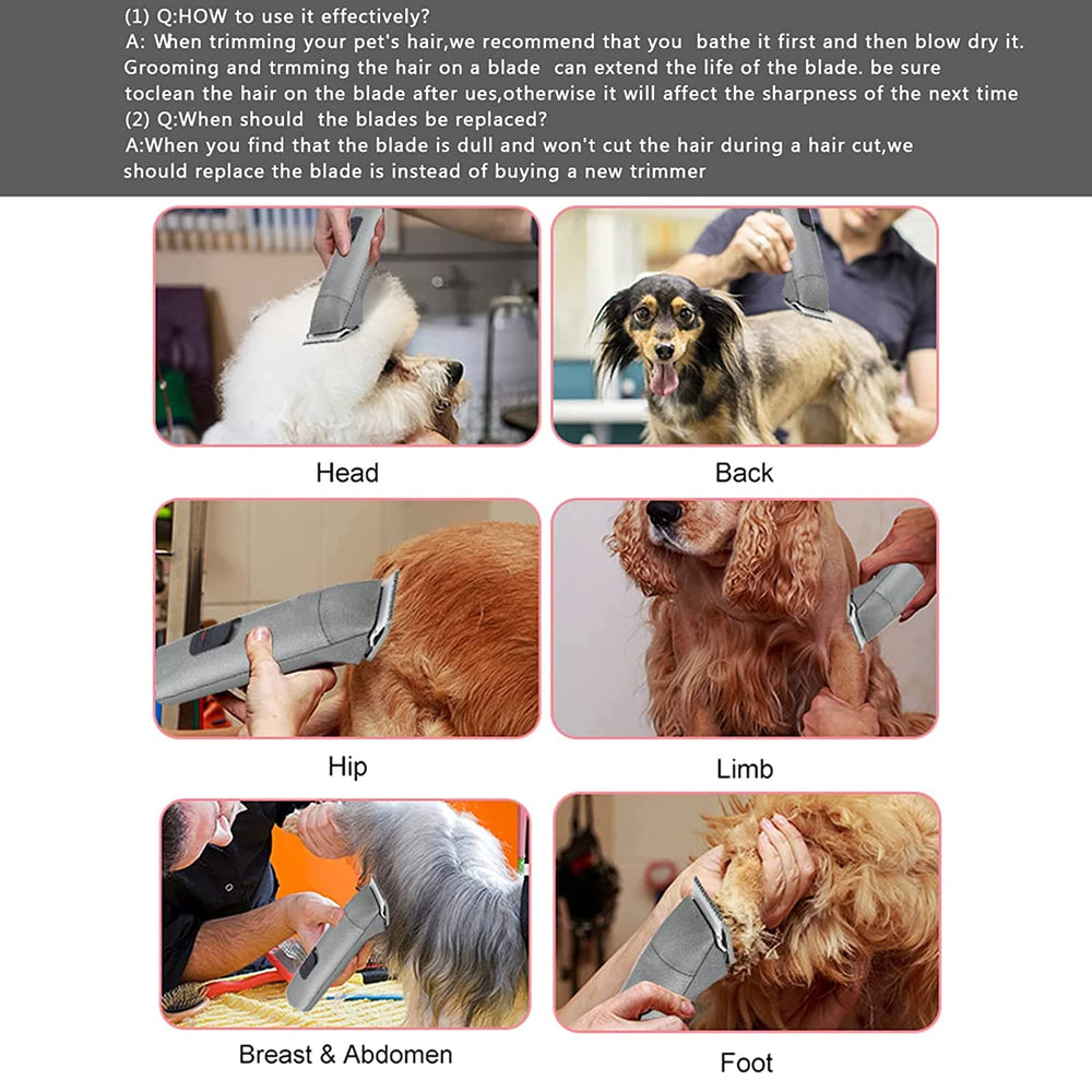 Audoc easy-clean design supports quick maintenance after grooming.