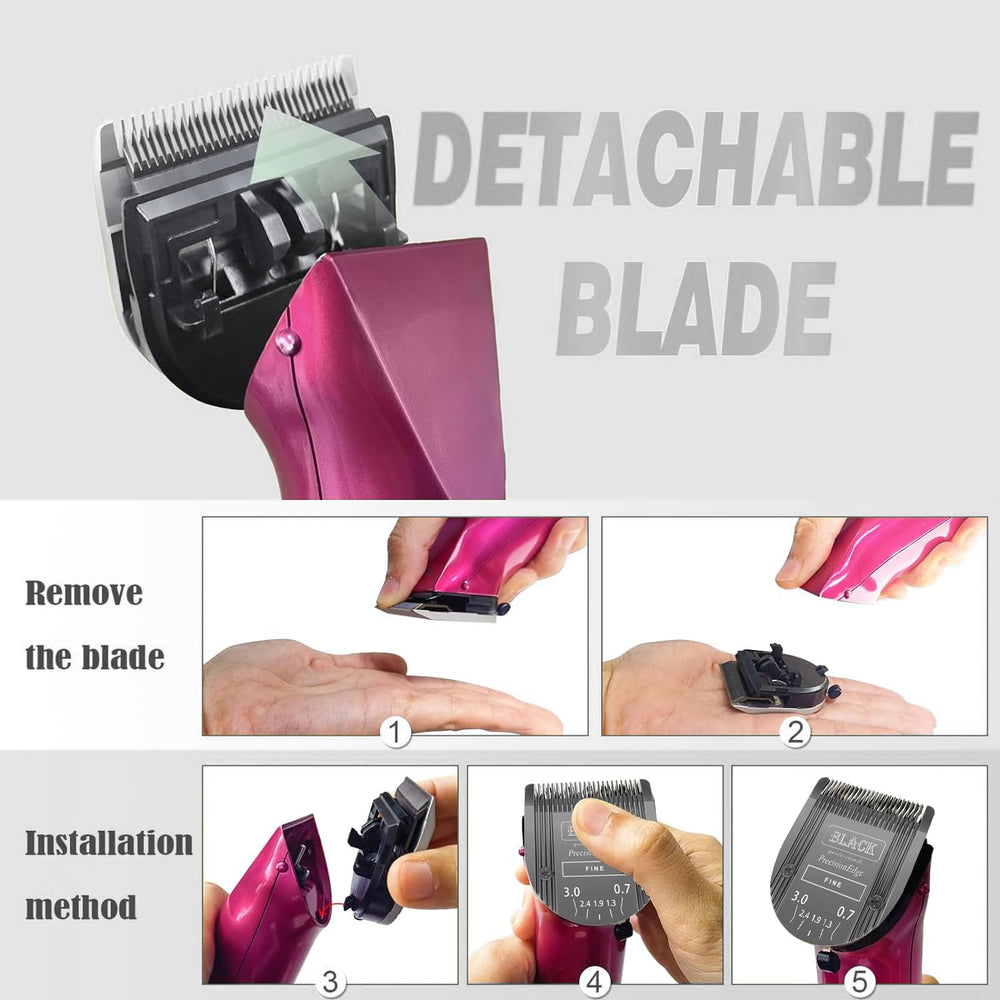 Audoc professional grooming session highlights precise clipping on a pet.