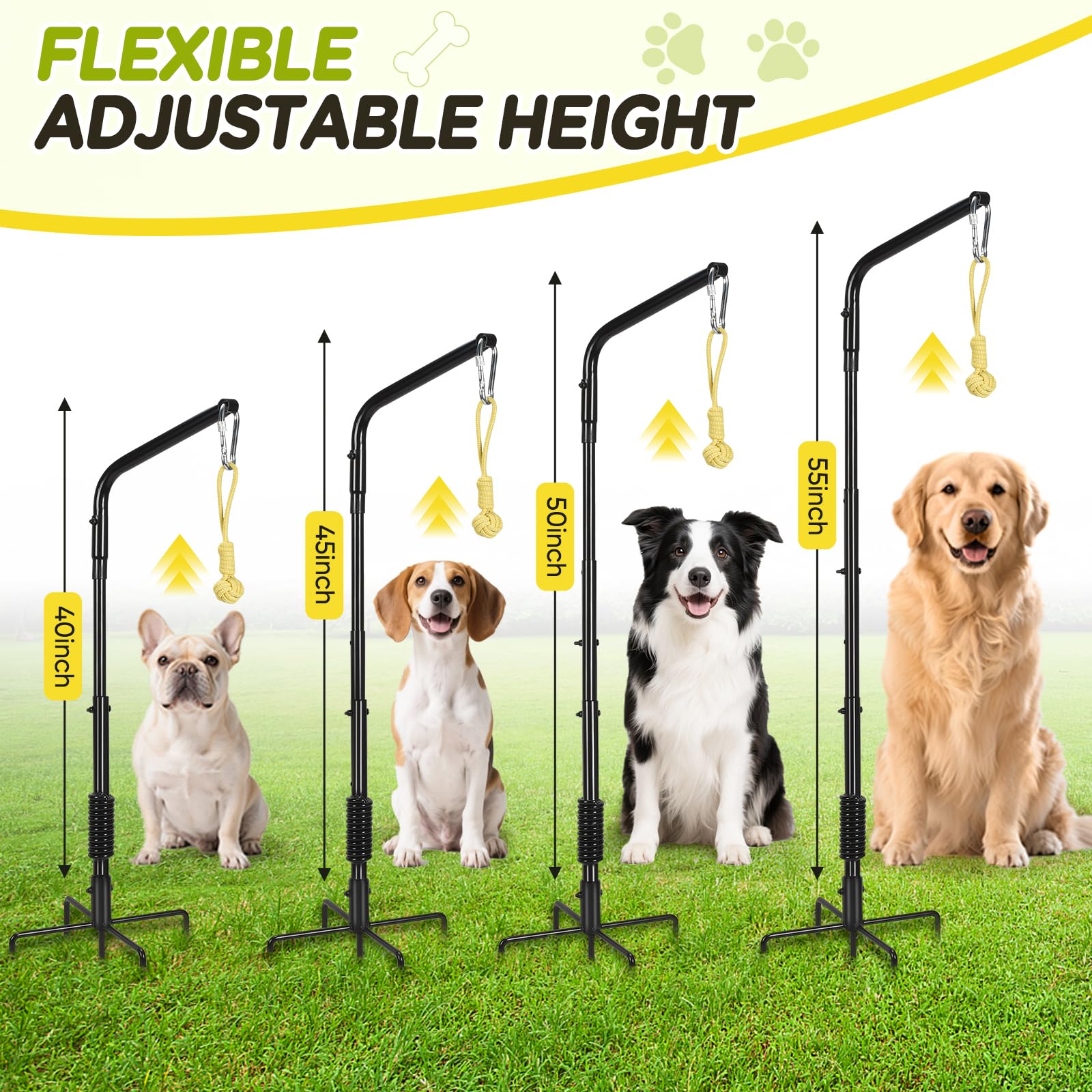 AugFir tether rack adjustable height accommodates different dog sizes.