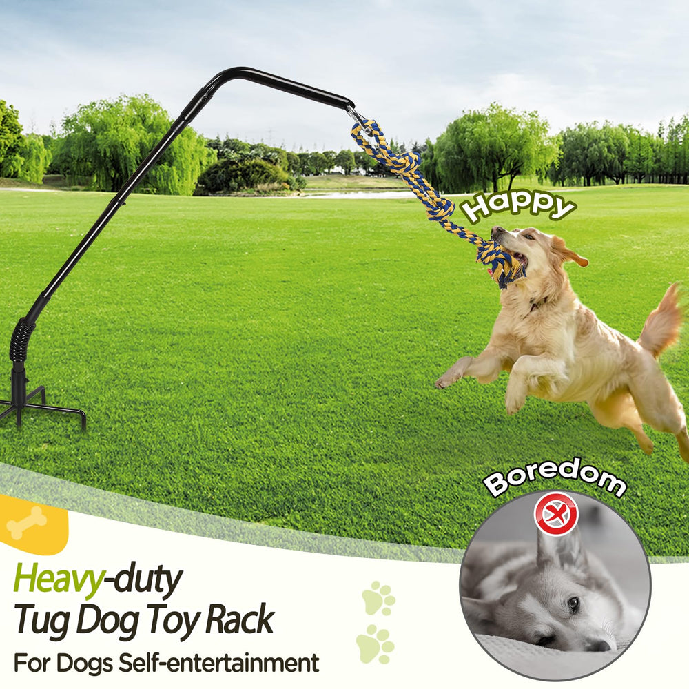 AugFir self-play exercise rack keeps dogs active while you relax.
