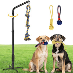 AugFir tether outdoor dog rope toy enables solo play to burn energy outdoors.