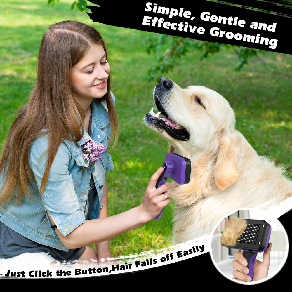 Augwind dog brush trio shown for detangling and shedding control.