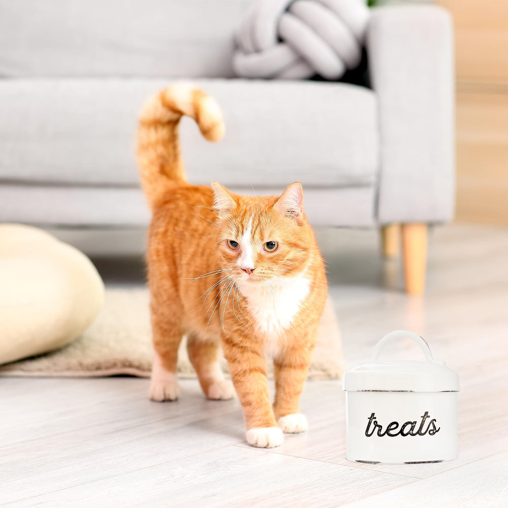 AuldHome pet accessories collection coordinates with bowls for cohesive décor.
