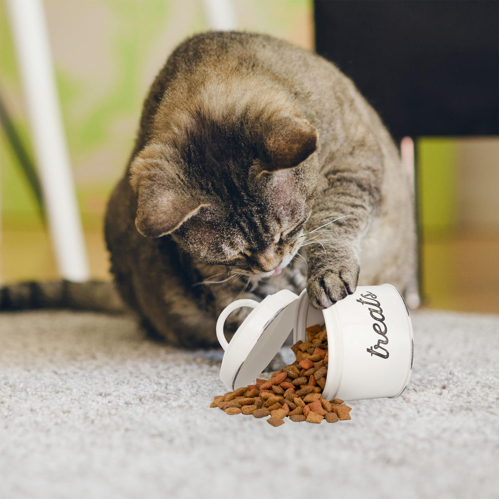 AuldHome small treat container keeps cat and small pet snacks organized.