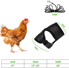 Aulock blue chicken harness promotes easy outdoor training for small pets