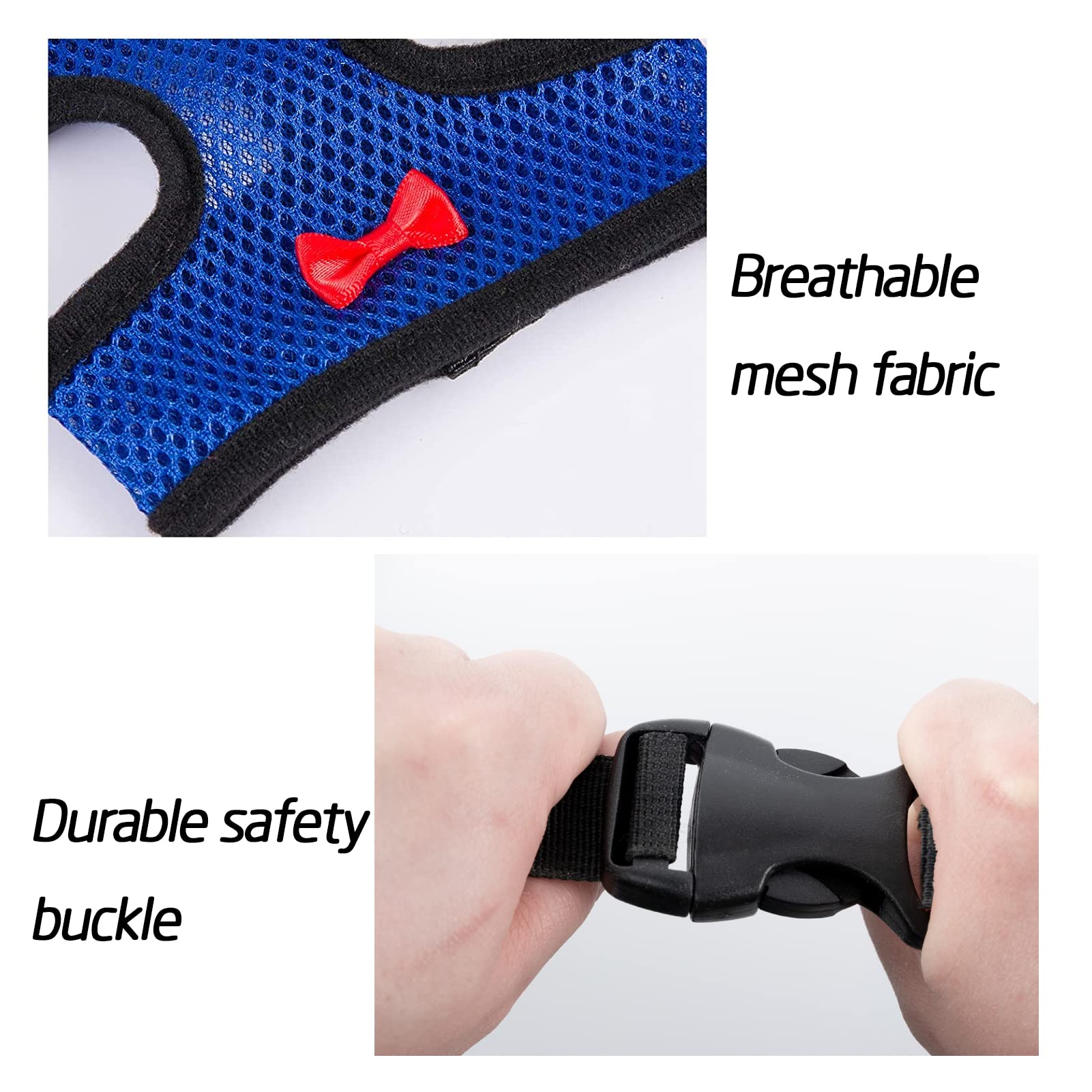 Aulock purple chicken harness for color coded walks with tiny companions