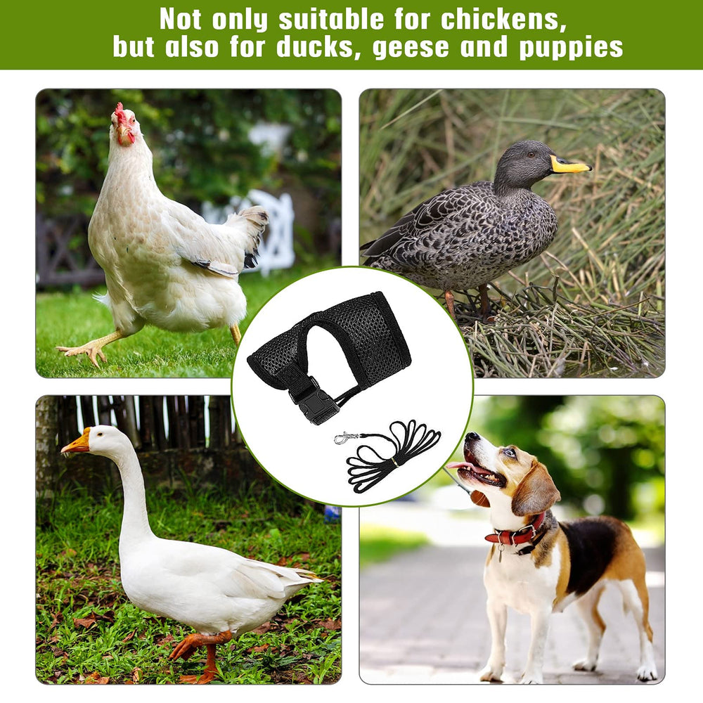 Aulock breathable mesh chicken harness keeps chicks cool and comfy