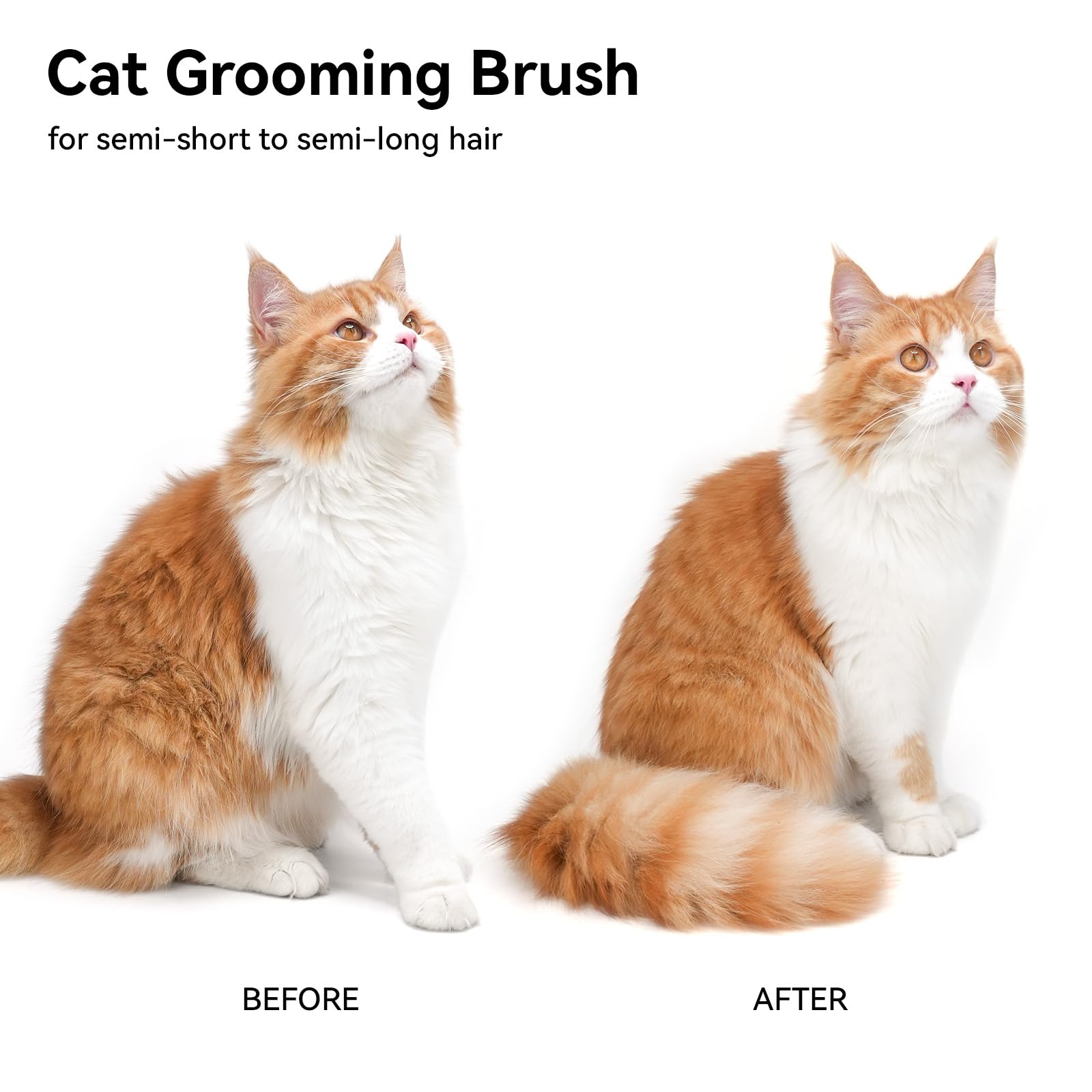 Aumuca Cat Brush ergonomic handle supports comfortable grooming sessions.