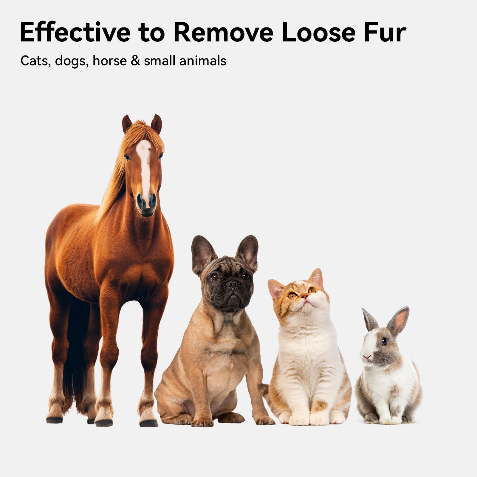 Aumuca cat brush for indoor use helps keep coats tidy.