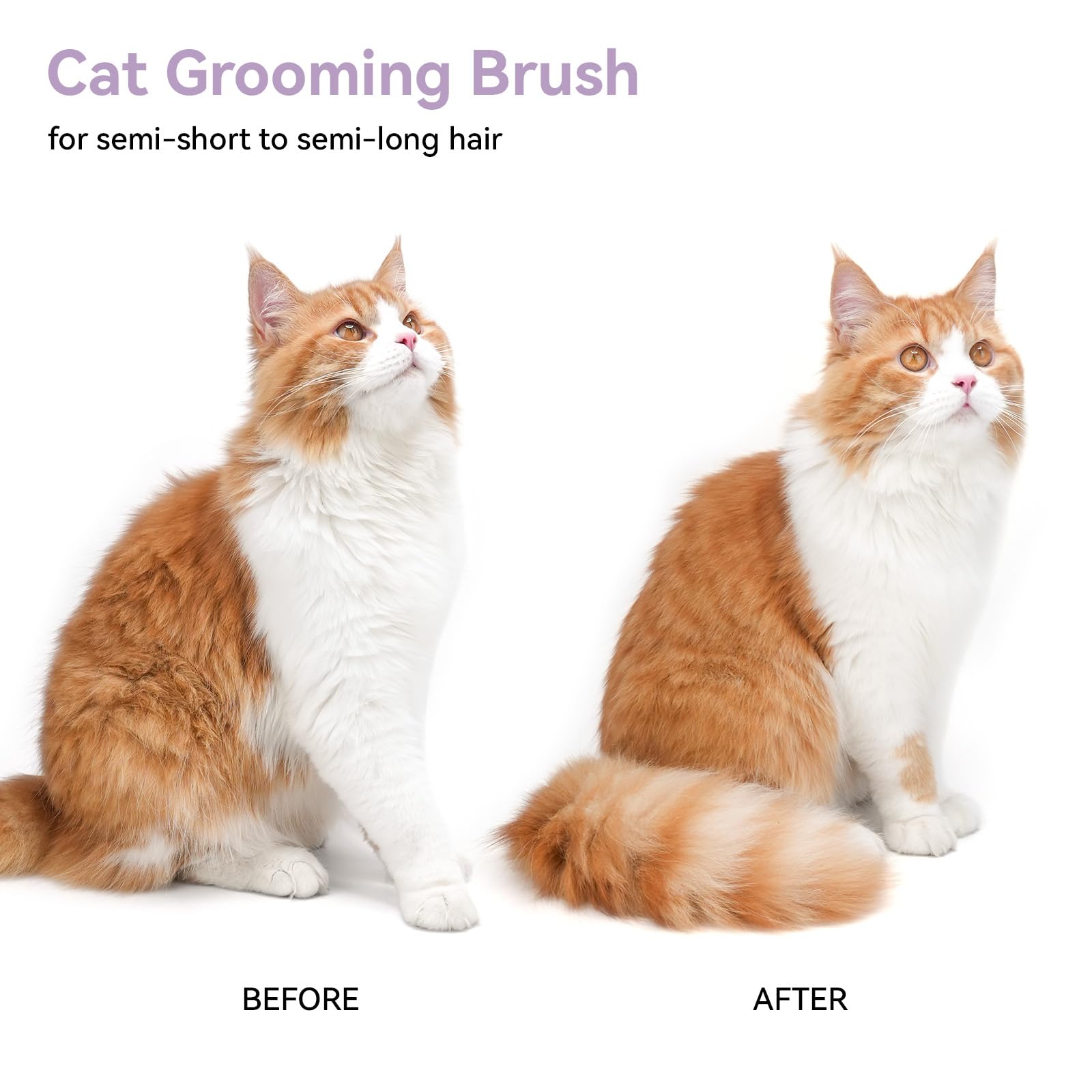 Aumuca self-cleaning brush reduces fur around the home after brushing.