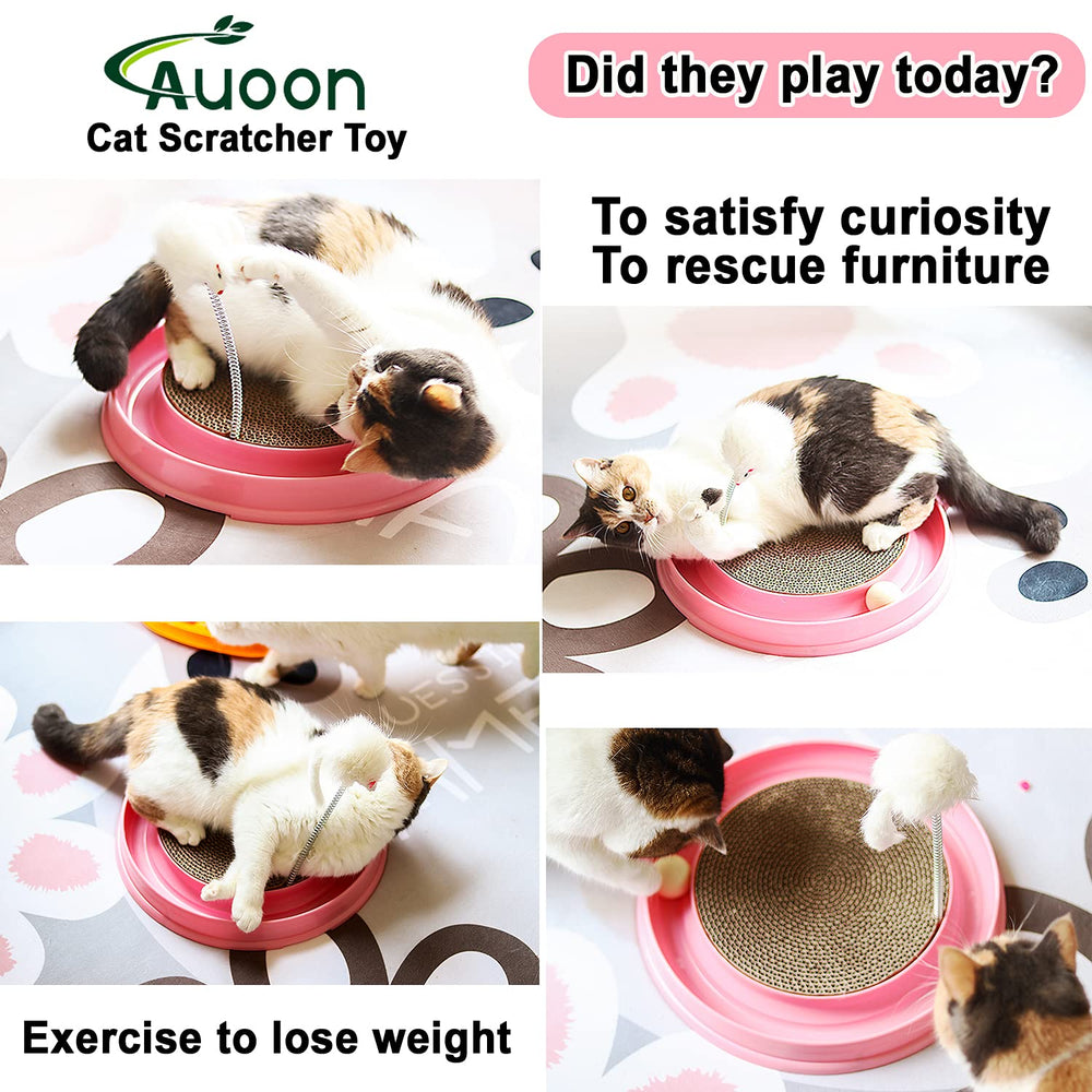 AUOON indoor-cat-playtime supports single or multi-cat activity in living spaces.