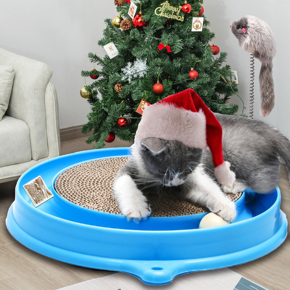 AUOON-indoor-entertainment-setup: ideal for single or multi-cat homes.