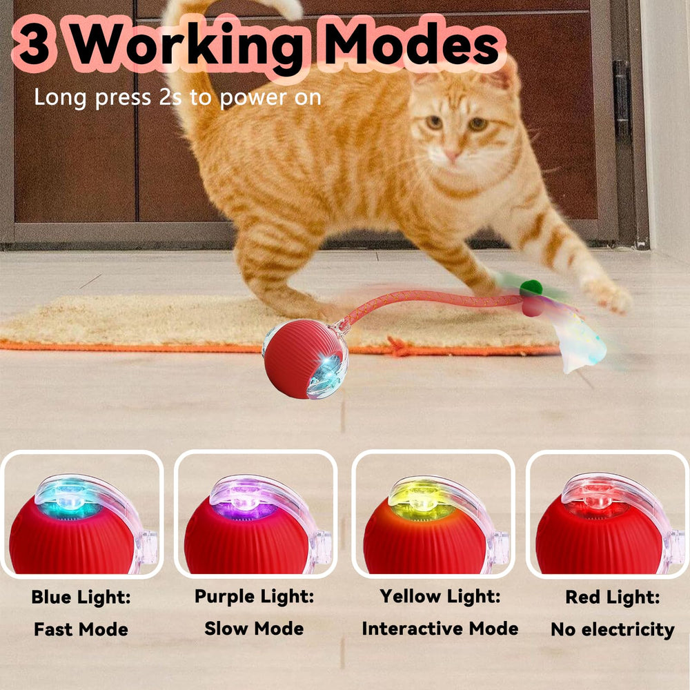 AUPJICX bird sound feature stimulates instinctive play.