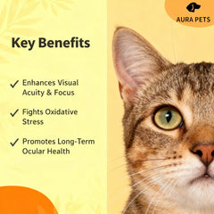 Advanced nutrient uptake liquid enhances absorption for canine eye care