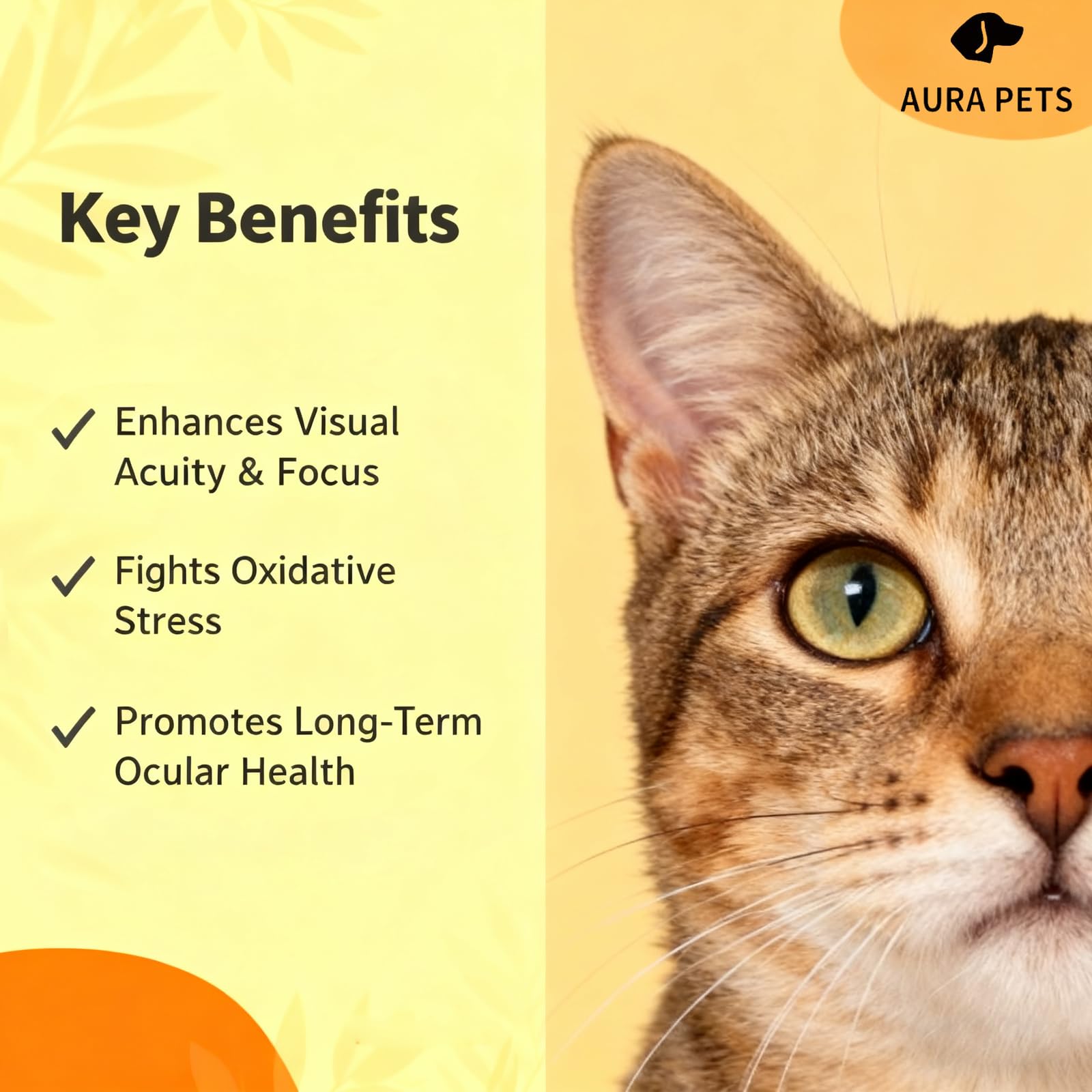 Aura Pets Advanced Vision serving with a dog about to take liquid