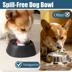 Auraganize bone broth and yogurt feeder with rolling ball.