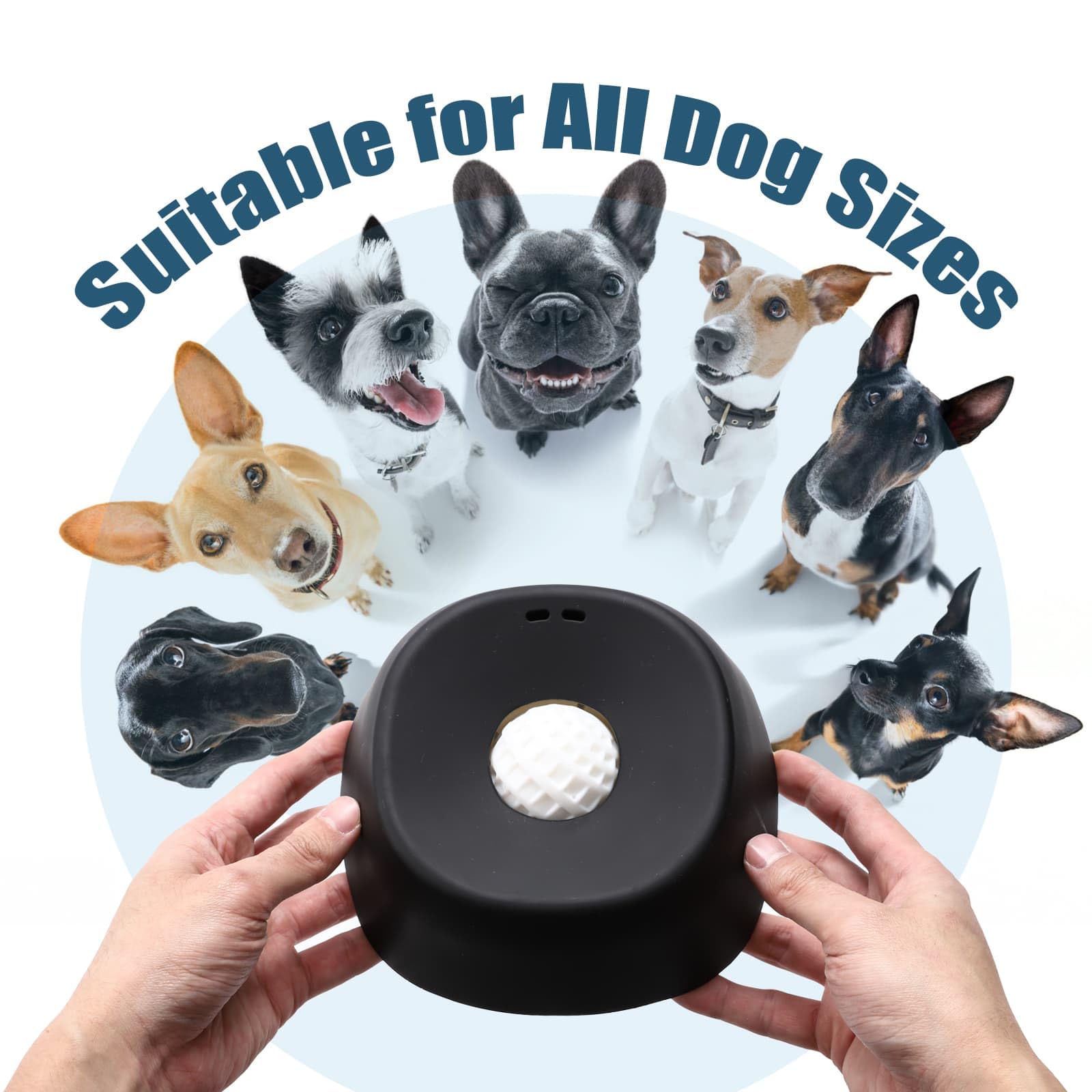 Auraganize suitable for small to large dogs during slow treat sessions.