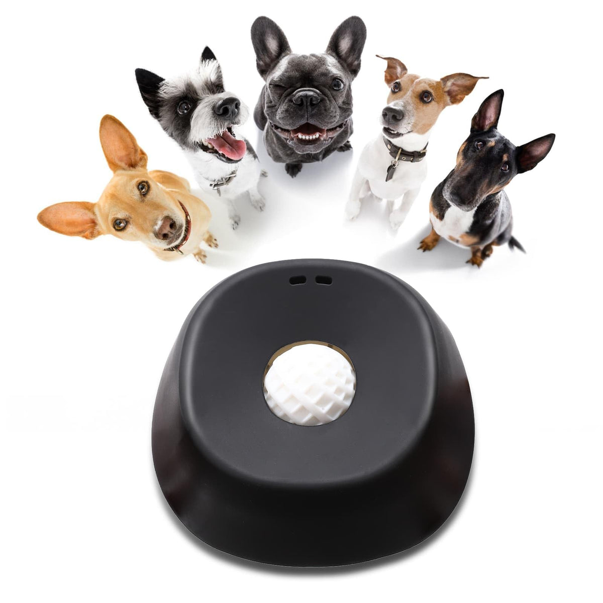 Auraganize rolling-ball lick bowl for dogs slows feeding and entertains.