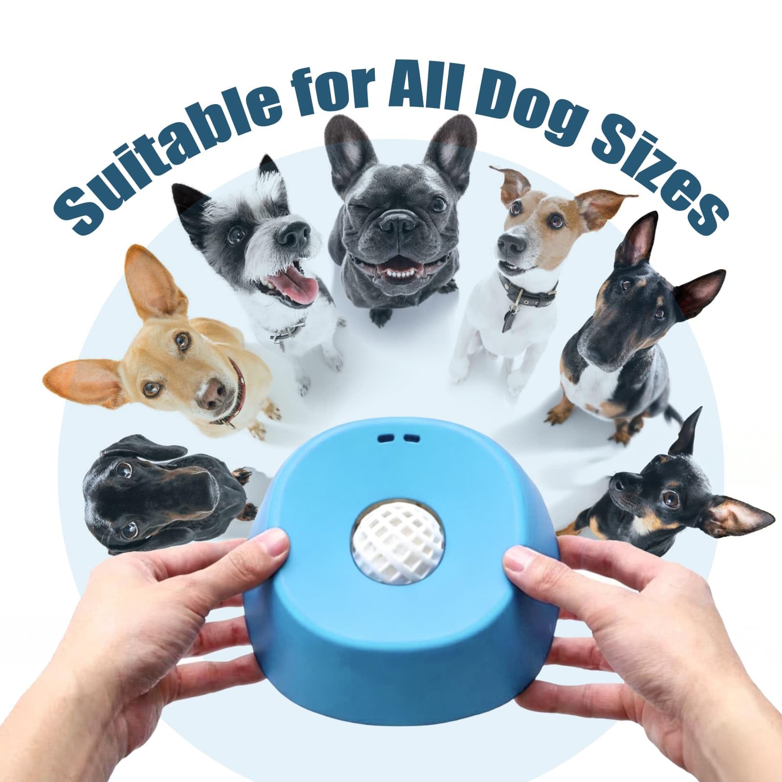 Auraganize spill-resistant lick bowl is easy to rinse after meals.