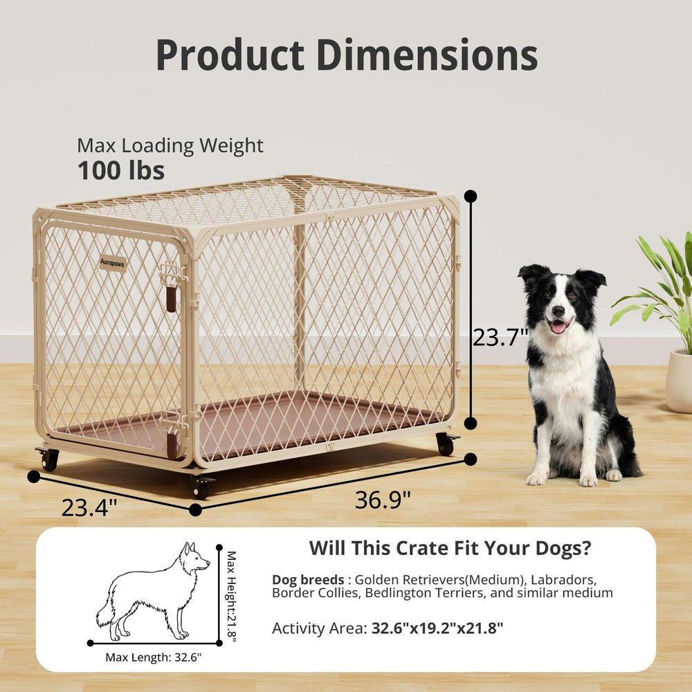 Aurapaws crate removable tray for quick cleaning.