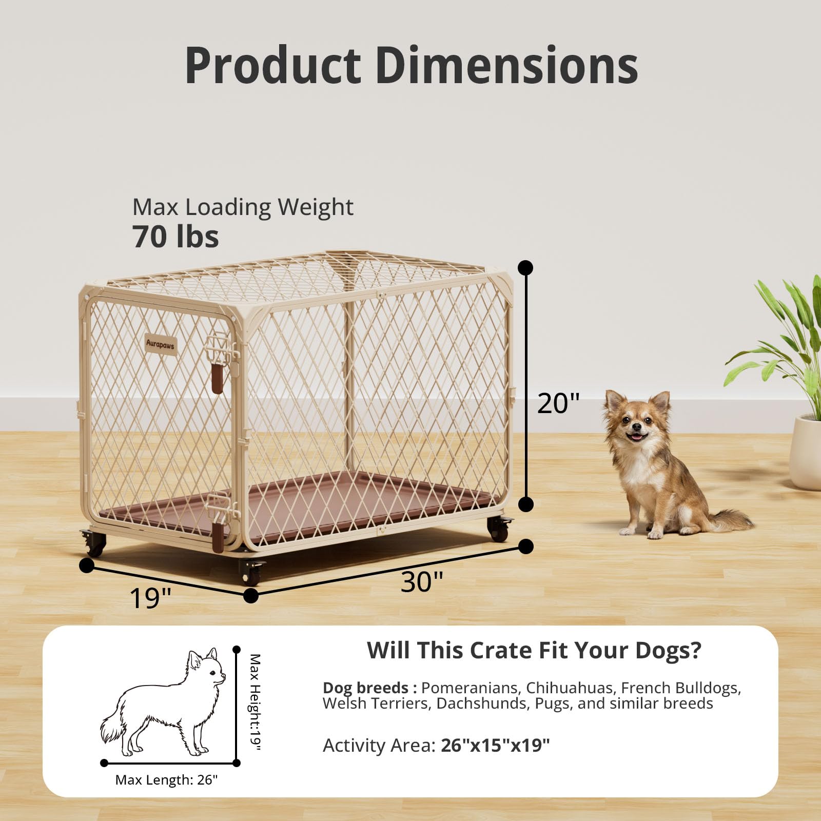 Aurapaws removable bottom tray for quick, hygienic cleaning