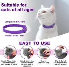 Aurevoen 60-day calming collar provides long-lasting support for anxious cats.