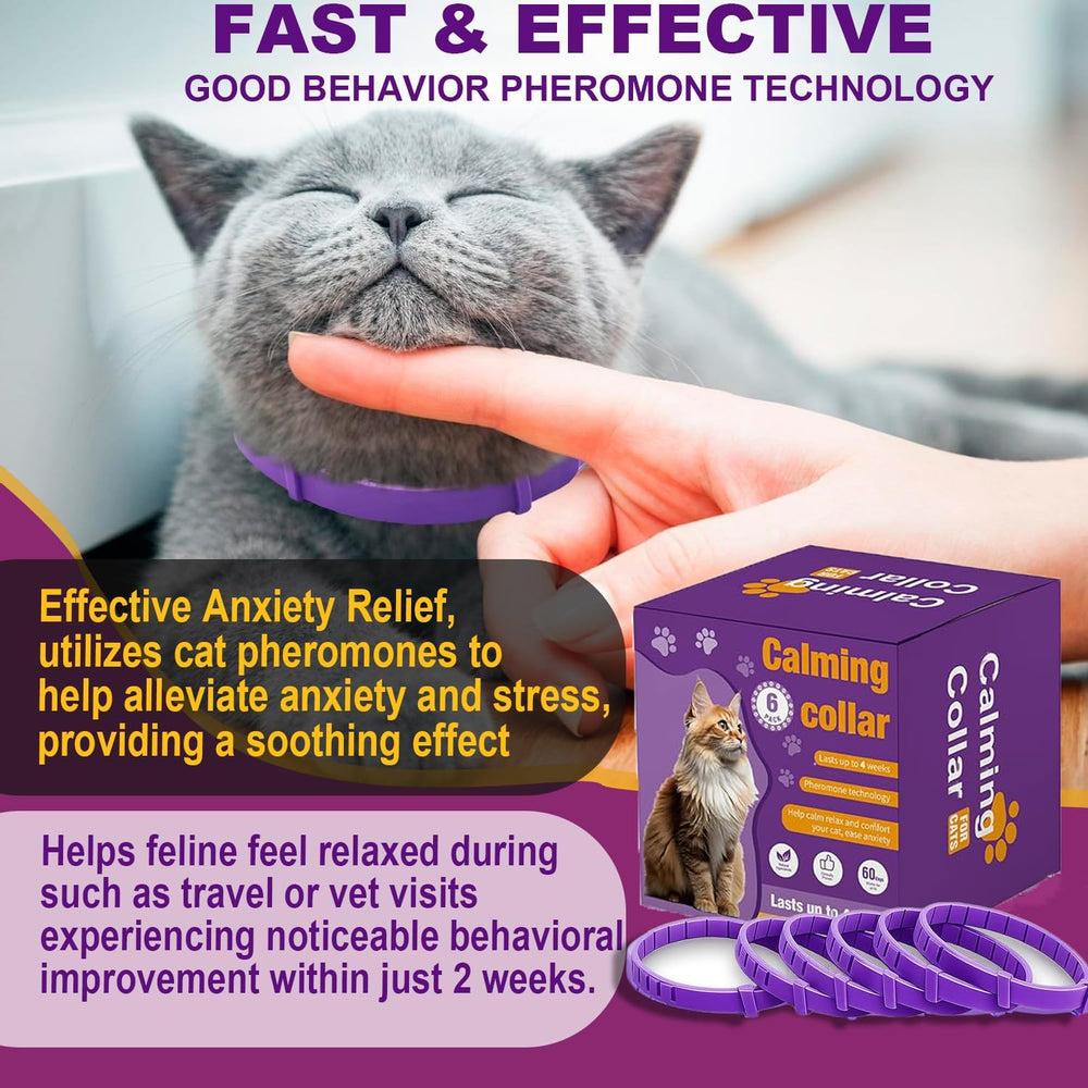 Aurevoen pheromone collar on a cat neck demonstrates the 15 inch adjustable fit.