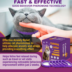 Aurevoen pheromone collar on a cat neck demonstrates the 15 inch adjustable fit.