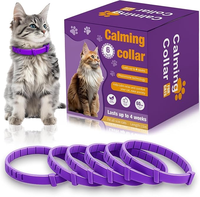 Aurevoen cat pheromone collar shown during setup for easy, comfortable wear.