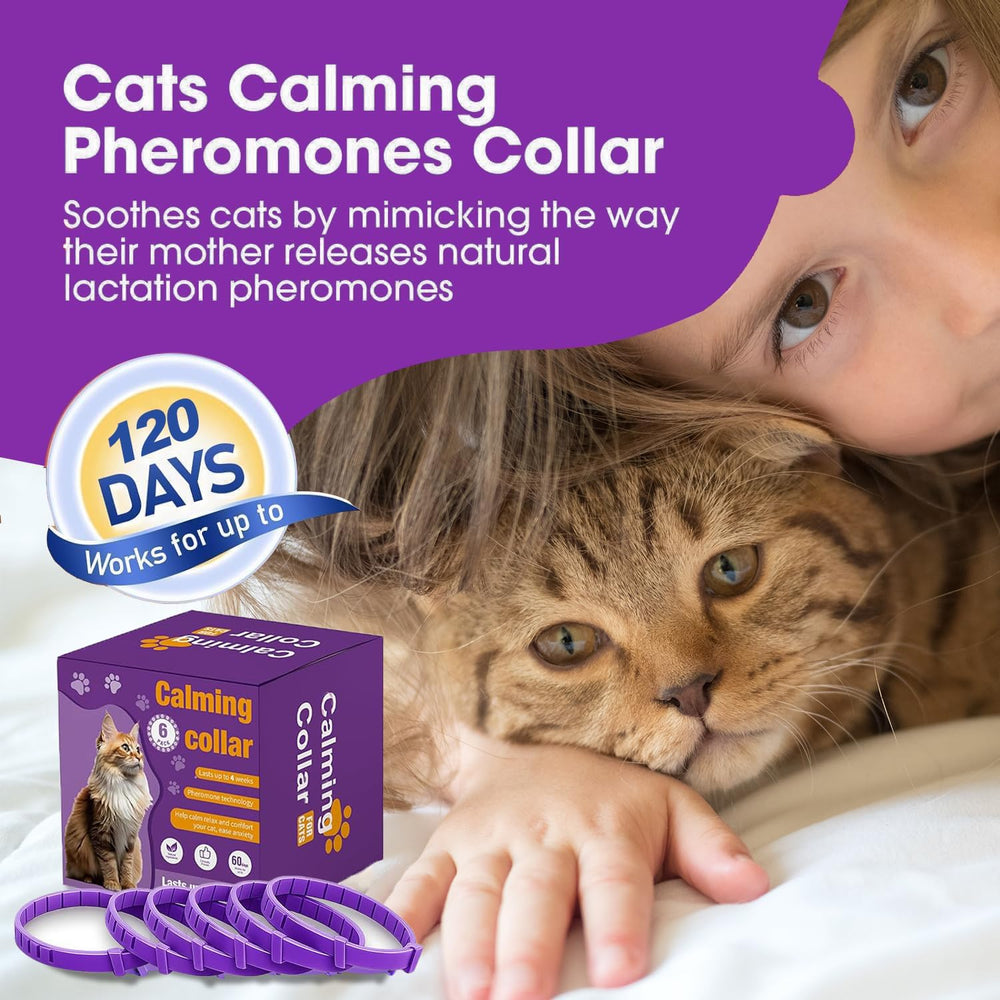 Aurevoen cat pheromone collar features a safe buckle for secure wear.