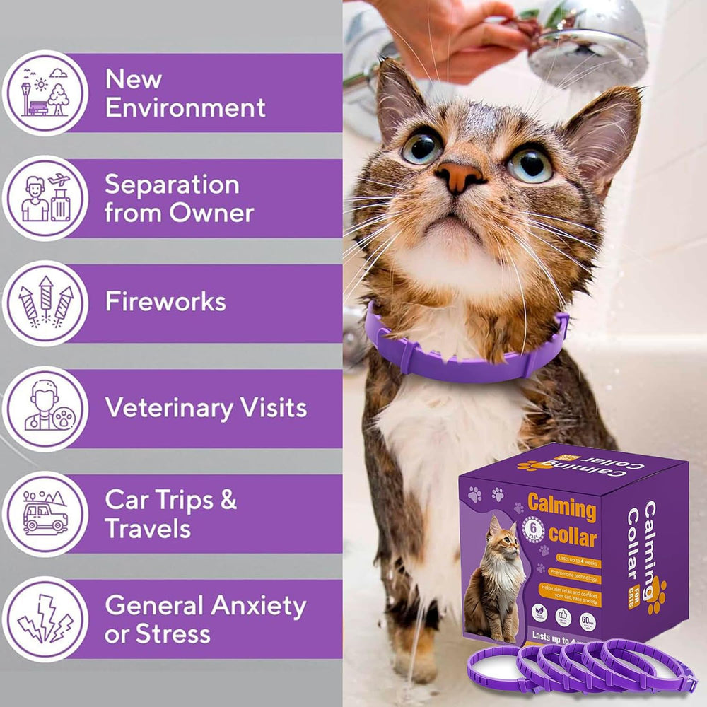 Aurevoen collar worn during travel reduces stress during vet visits.