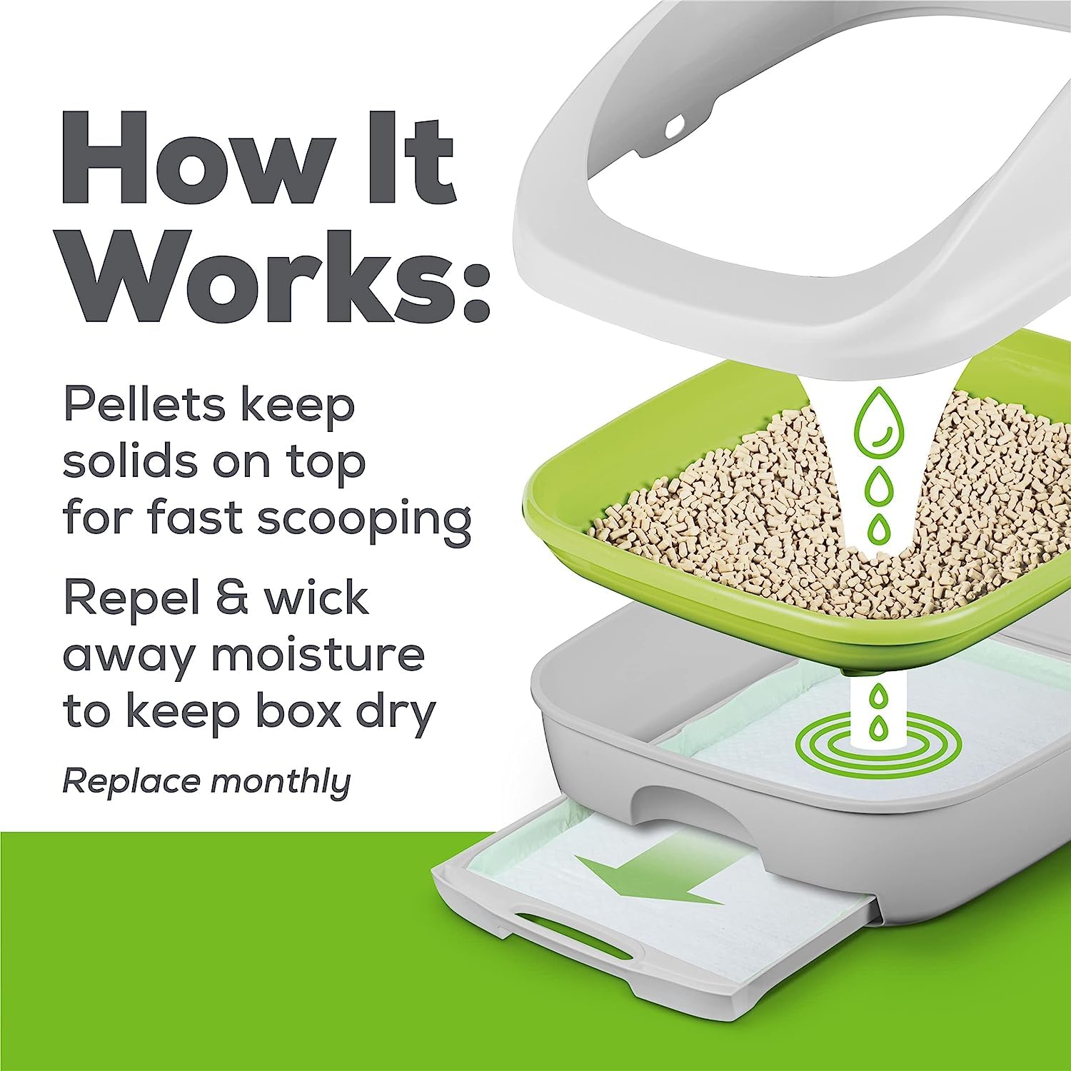 Aurora Pet Breeze helps minimize mess with neat floors and neat feet.