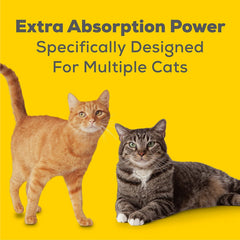 Aurora Pet Breeze pad demonstrates odor-control design for cleaner litter areas.