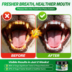 AUROS dog dental powder in dish ready to mix with meals for easier brushing-free care.