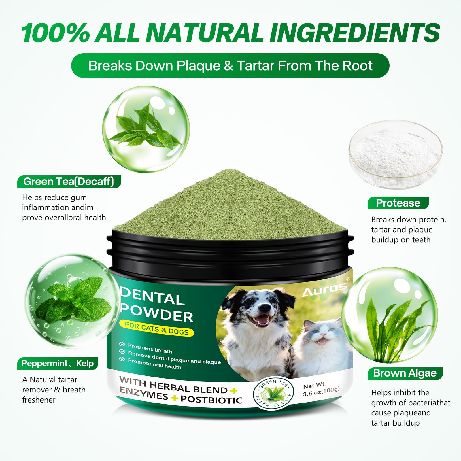 AUROS dog dental powder texture close up shows natural ingredients for gentle cleaning.