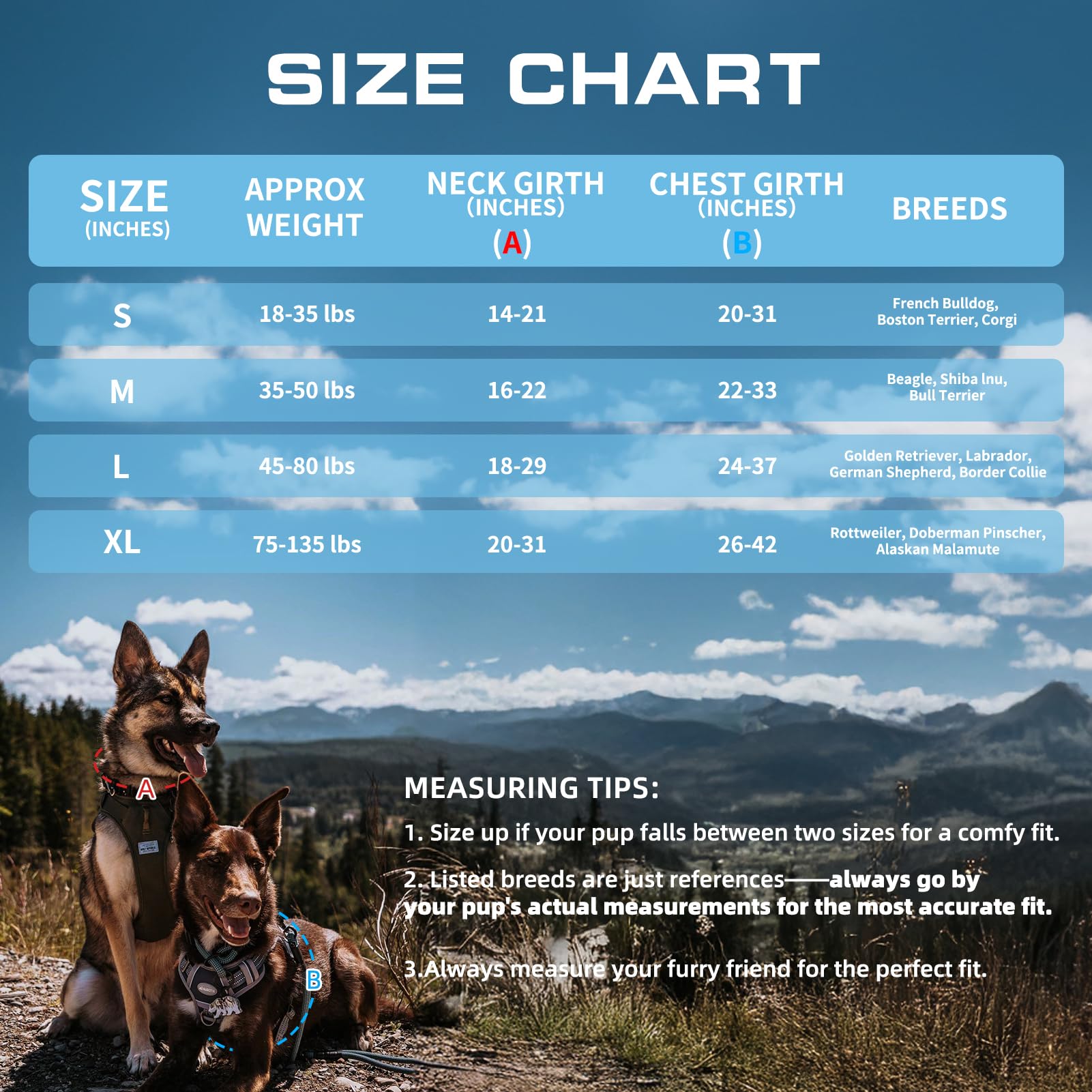 Dog wearing AUROTH harness on a trail for outdoor adventures
