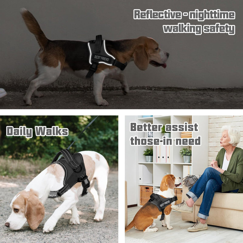 AUROTH harness 1200D nylon shell ensures durability.