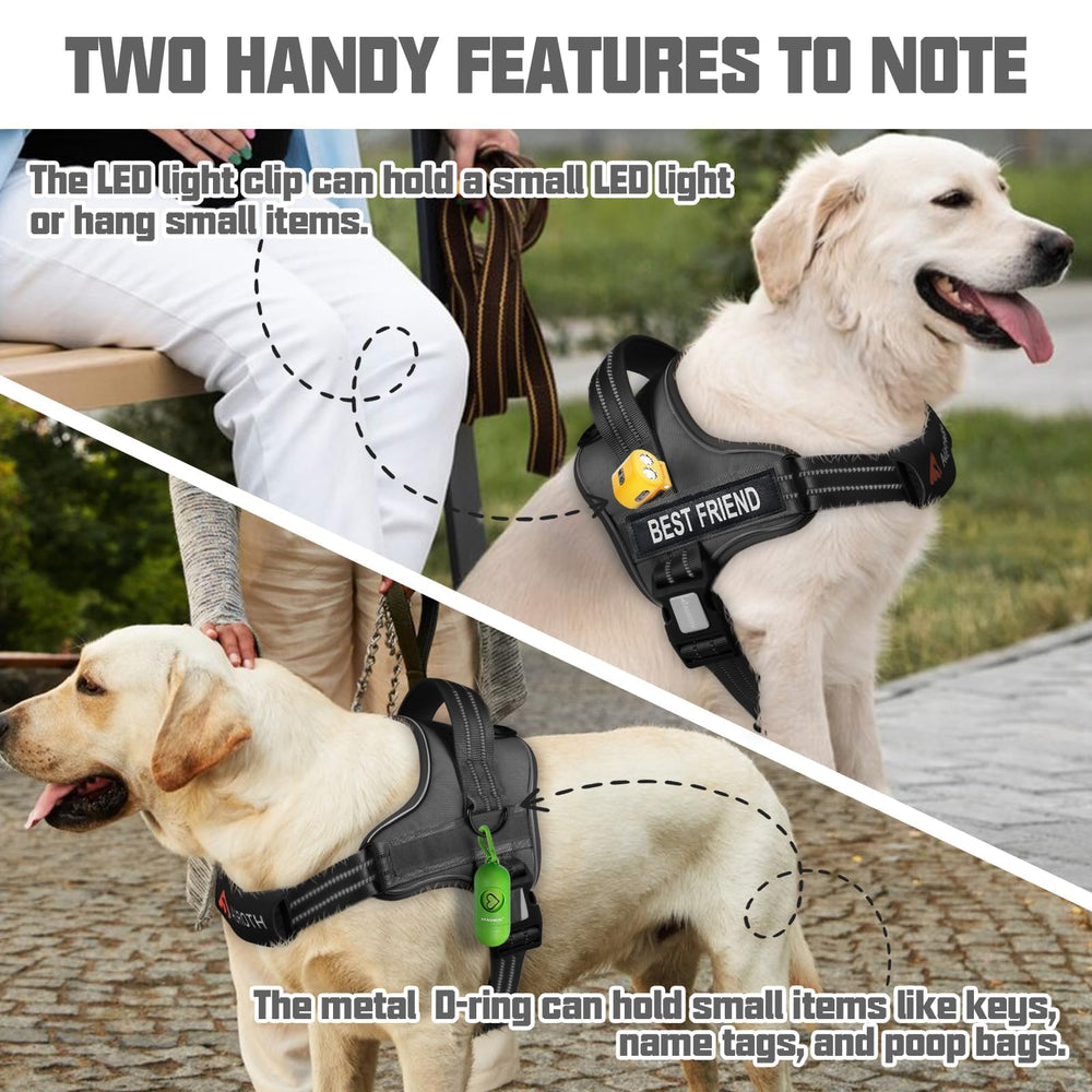AUROTH harness with reflective trim for safer night-time walks.