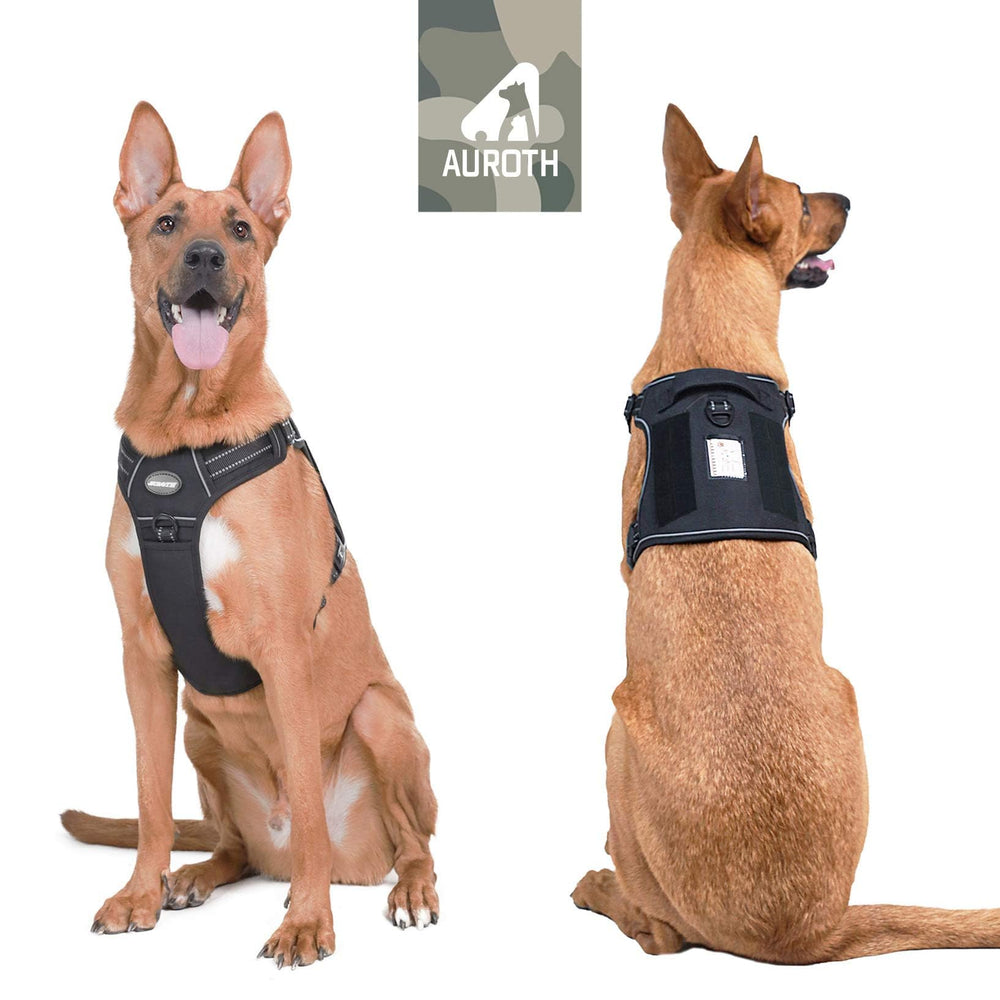 AUROTH front-to-back adjustable buckles ensure a snug, secure fit.