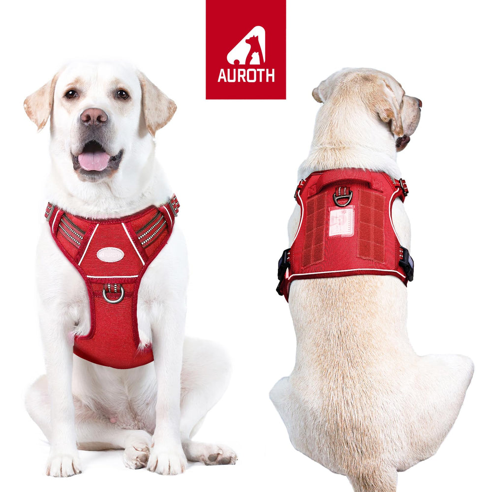 AUROTH adjustable harness with chest and shoulder straps for secure fit.