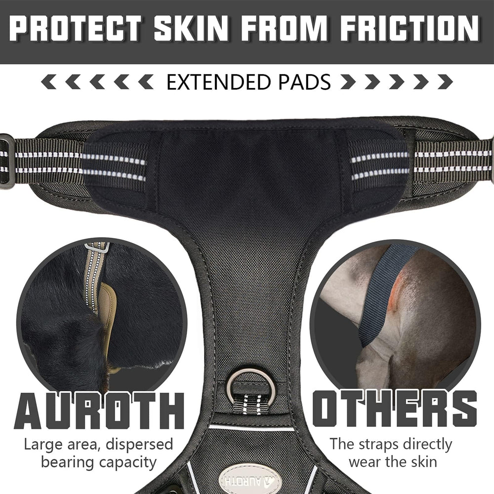 AUROTH air mesh panels keep your dog cooler during activity.