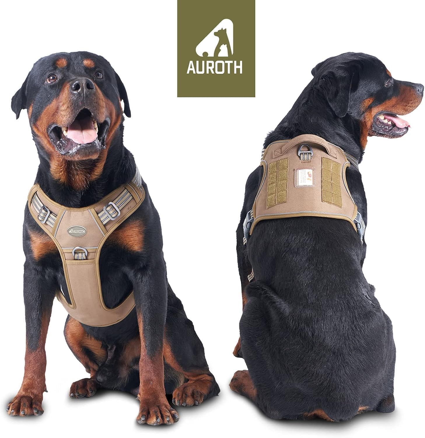 AUROTH back clip close-up highlights secure leash options for walks.