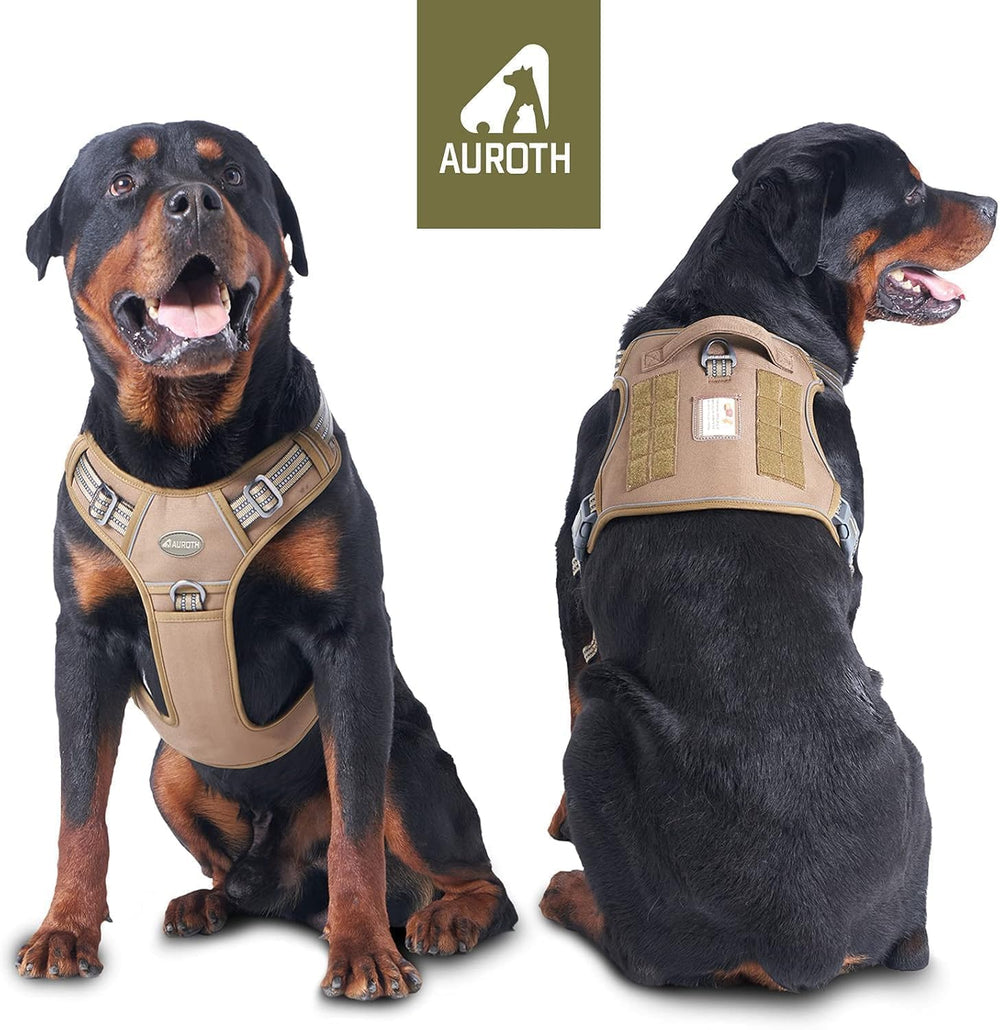 AUROTH back clip close-up highlights secure leash options for walks.