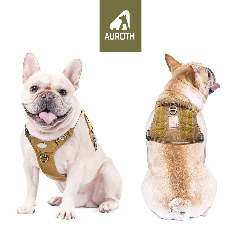 AUROTH harness back clip supports secure walks and jogging.