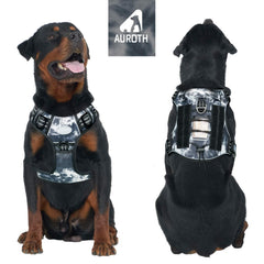 AUROTH harness back clip ready for casual strolls and jogging.