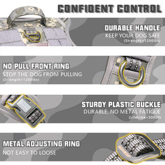 AUROTH back-clip design for casual walking and reliable daily control.